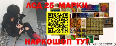 a pvp Камышлов