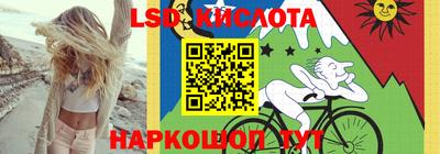 стаф Кингисепп