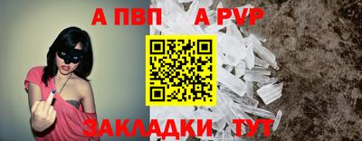 стаф Кингисепп