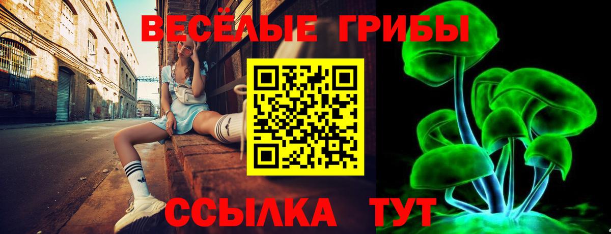 Дальнегорск  Галлюциногенные грибы мухоморы  Вход с VPN 
